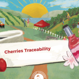Cherryhill realiseert traceerbaarheid met QR-code van GS1 - Traceerbaarheid Cherries (1)