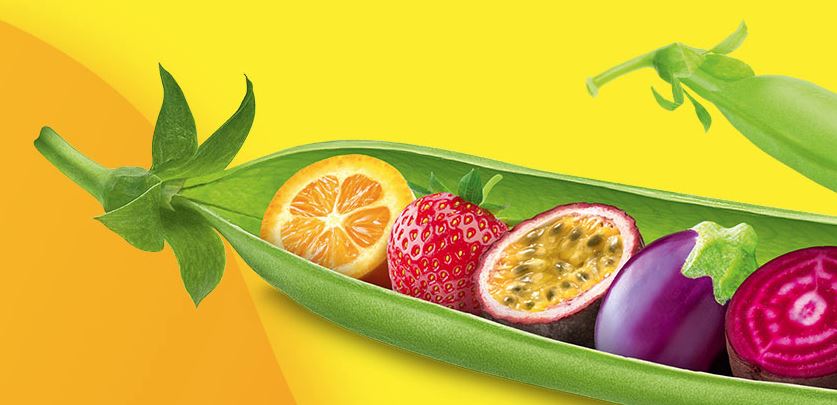 FRUIT LOGISTICA as global platform for new ideas, new input and new solutions - 2023 01 17 16 57 37 Window