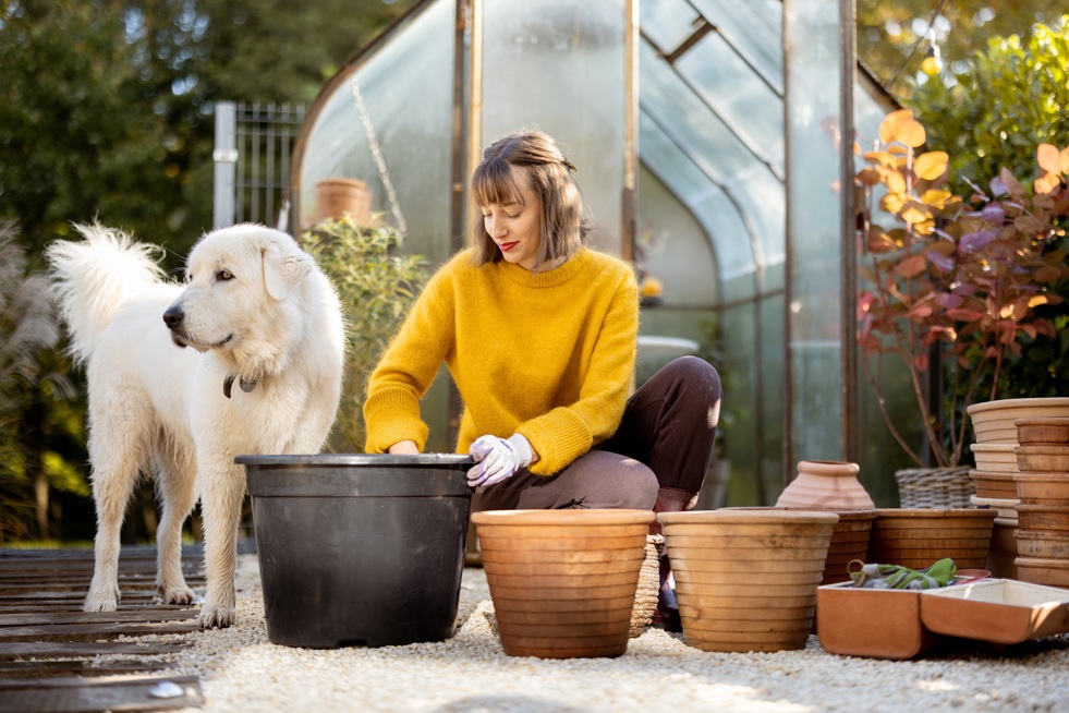 Nieuwsbrief doe-het-zelf, tuin & dier - 2023 Jaar Van De Waarheid Voor Tuin En Dier