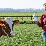 Waar komt Mijn Melk vandaan? - Mijn Melk